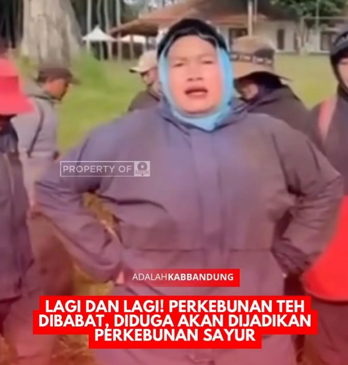 Usut Tuntas Dugaan Alih Fungsi Lahan Teh di Pangalengan Kabupaten Bandung